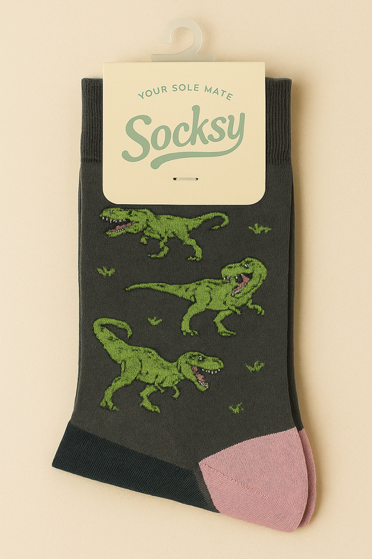 Dinosaur Organic Socks
